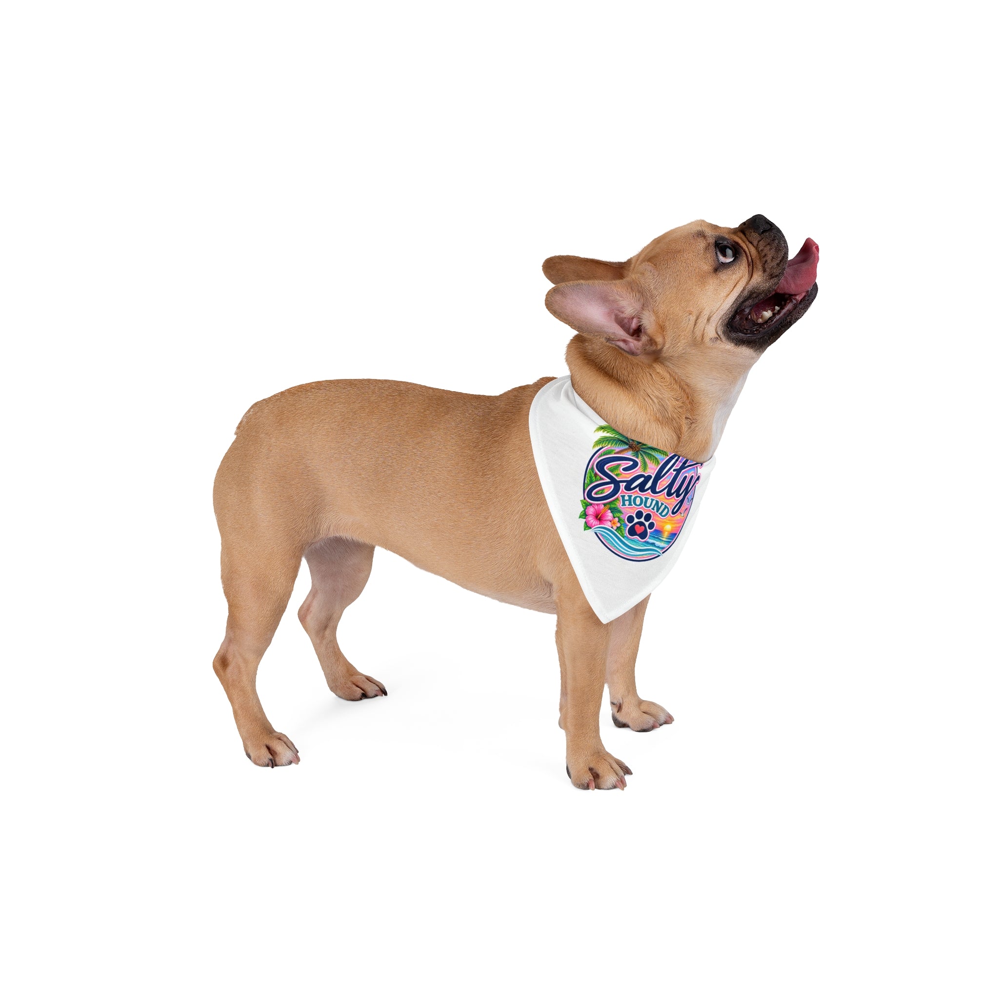 Salty Hound Tropical Logo Bandana